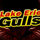 Illustration for article titled Hockey Teams Logo Was So Bad, They Changed The Whole Damn Team Name